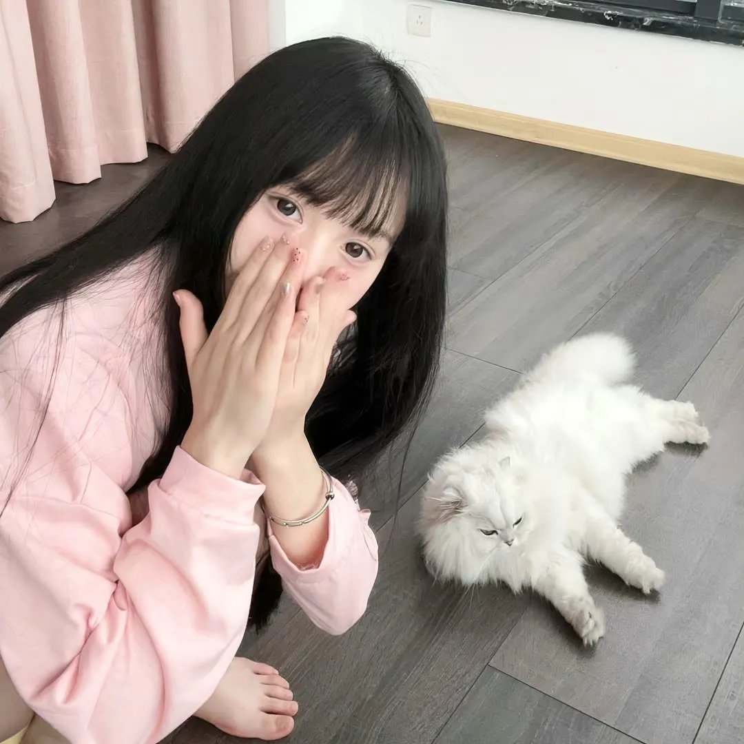 小刺猬与魔法石